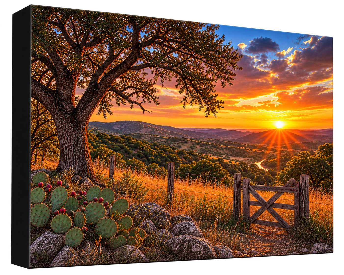 Texas Hill Country Canvas Print
