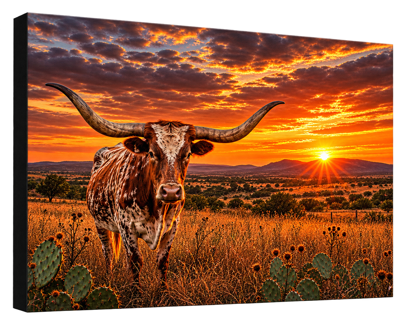 Longhorn at Sunset Canvas Print