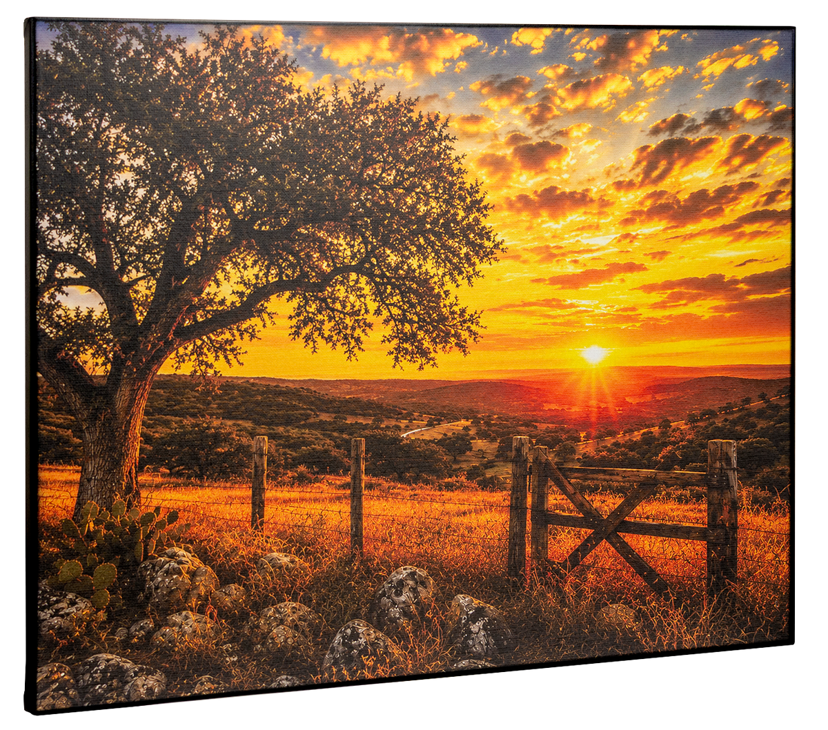 Texas Hill Country Canvas Print