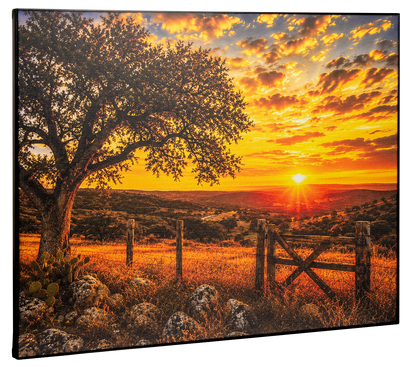 Texas Hill Country Canvas Print