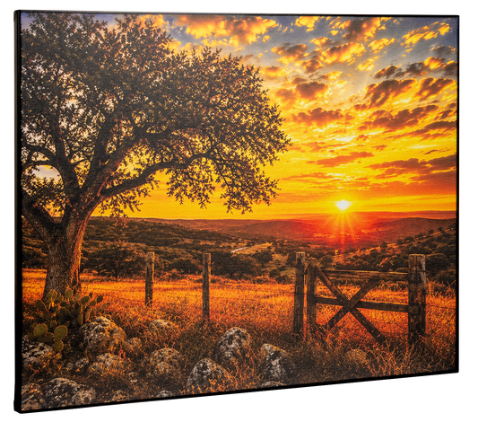 Texas Hill Country Canvas Print