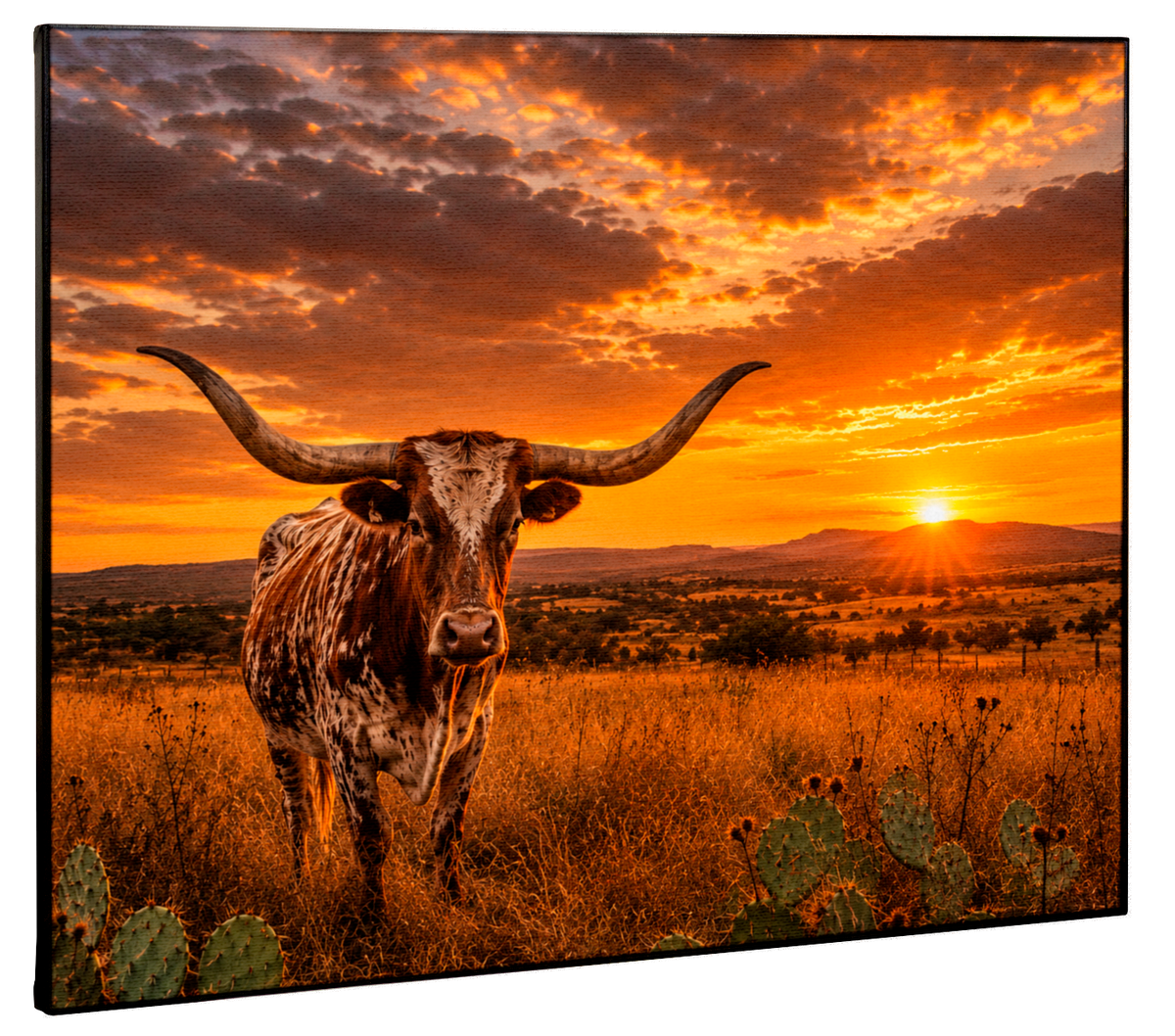 Longhorn at Sunset Canvas Print