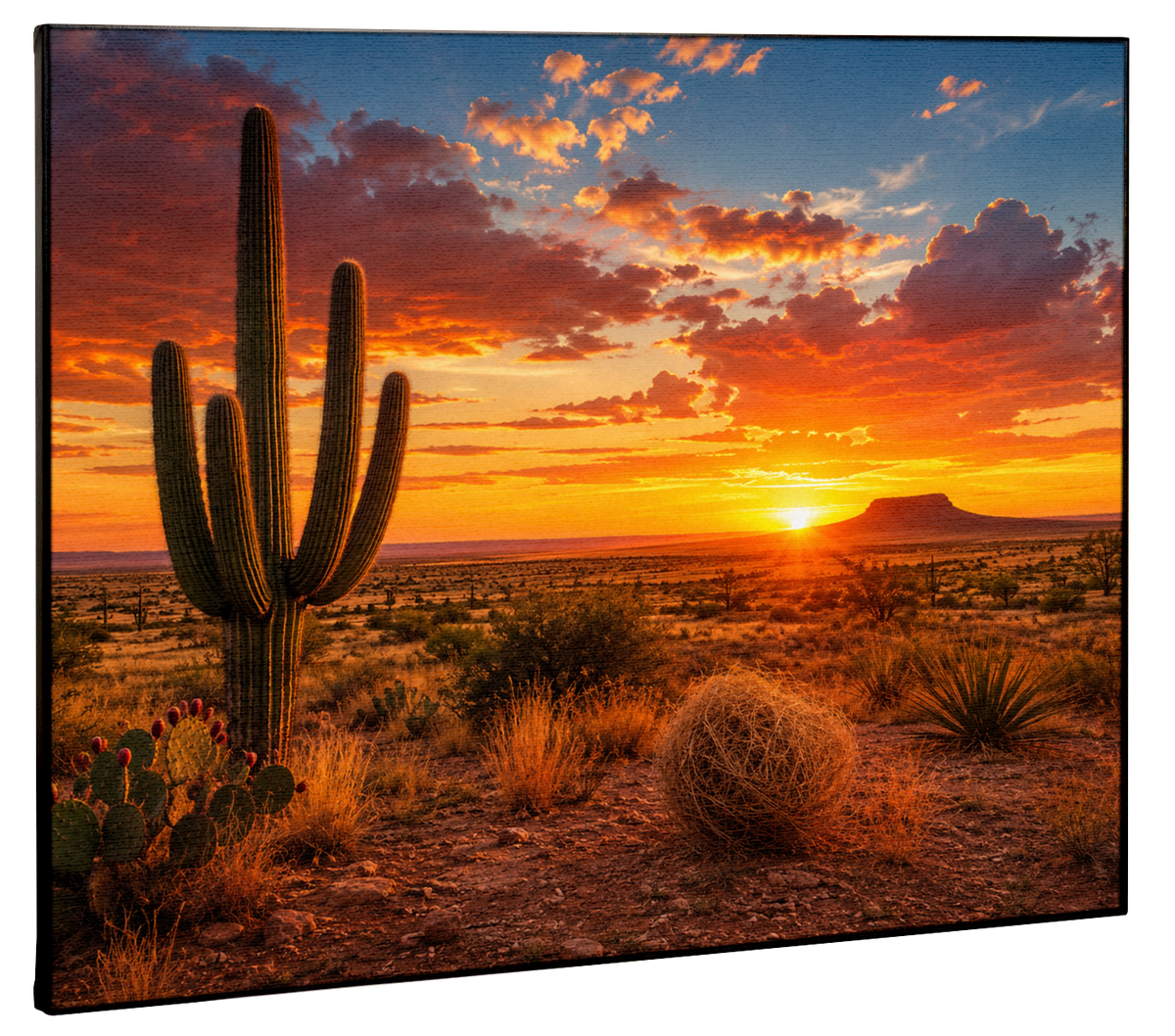 Cactus Texas Plains Canvas Print