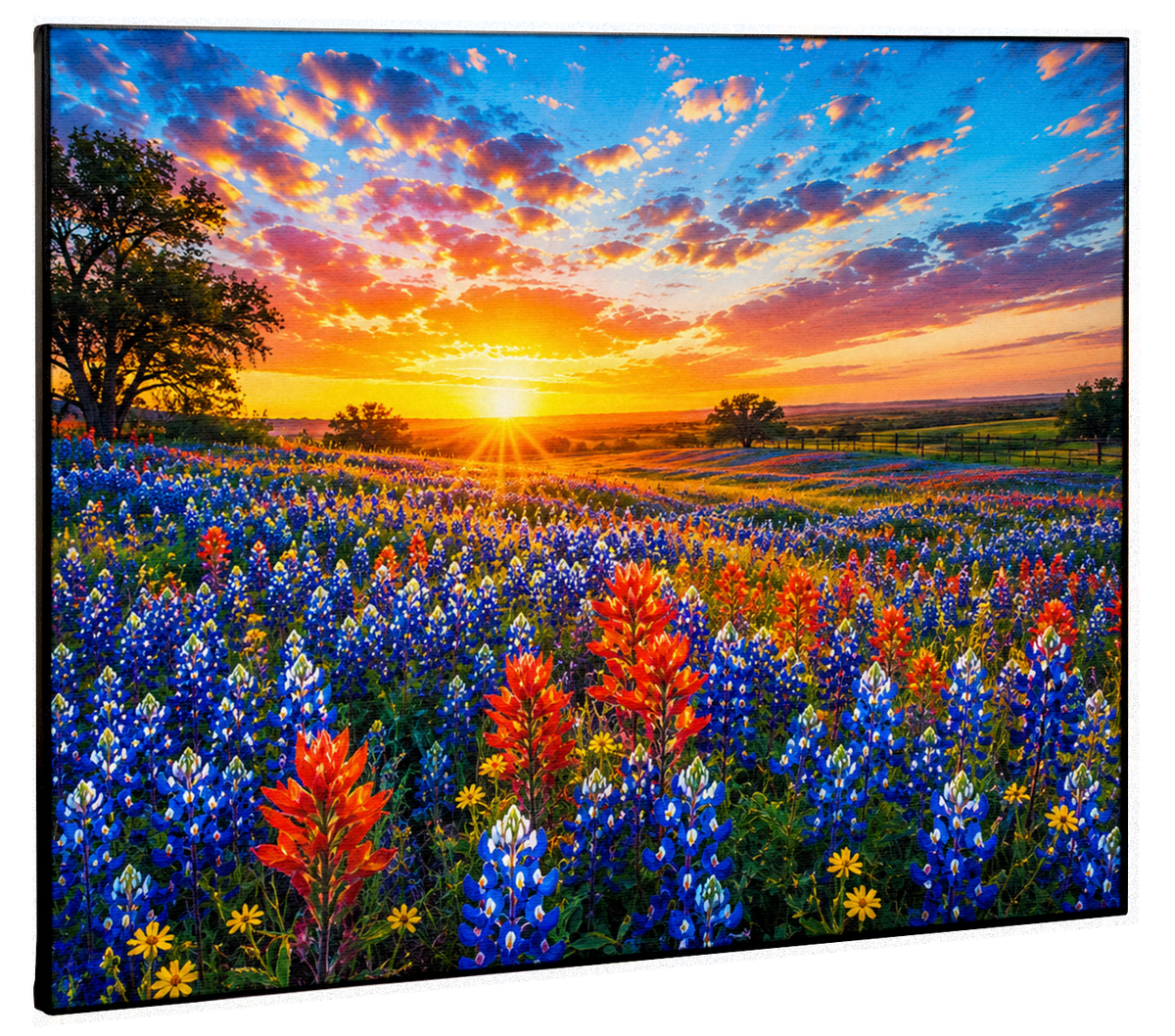 Wildflower Field Canvas Print