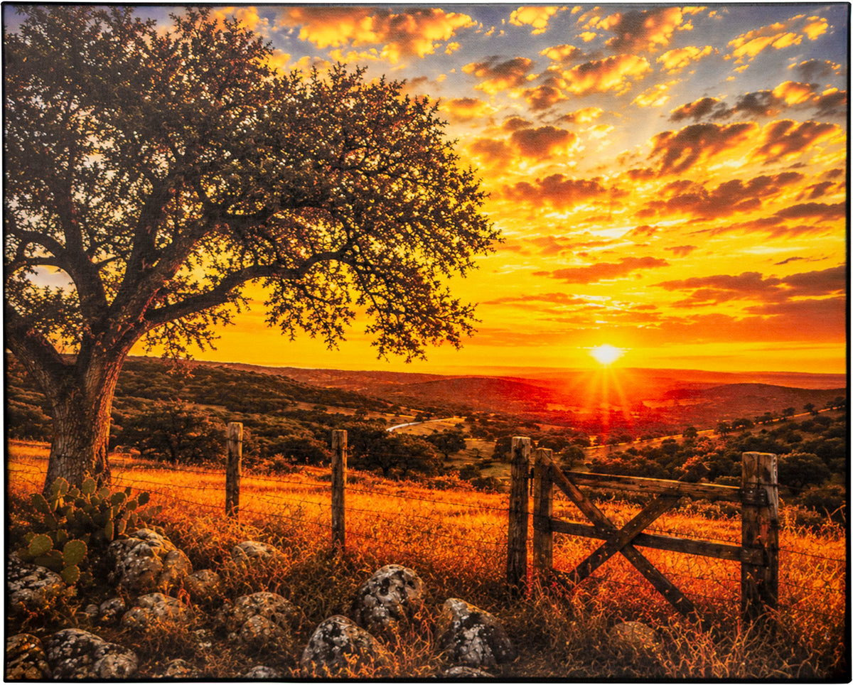 Texas Hill Country Canvas Print