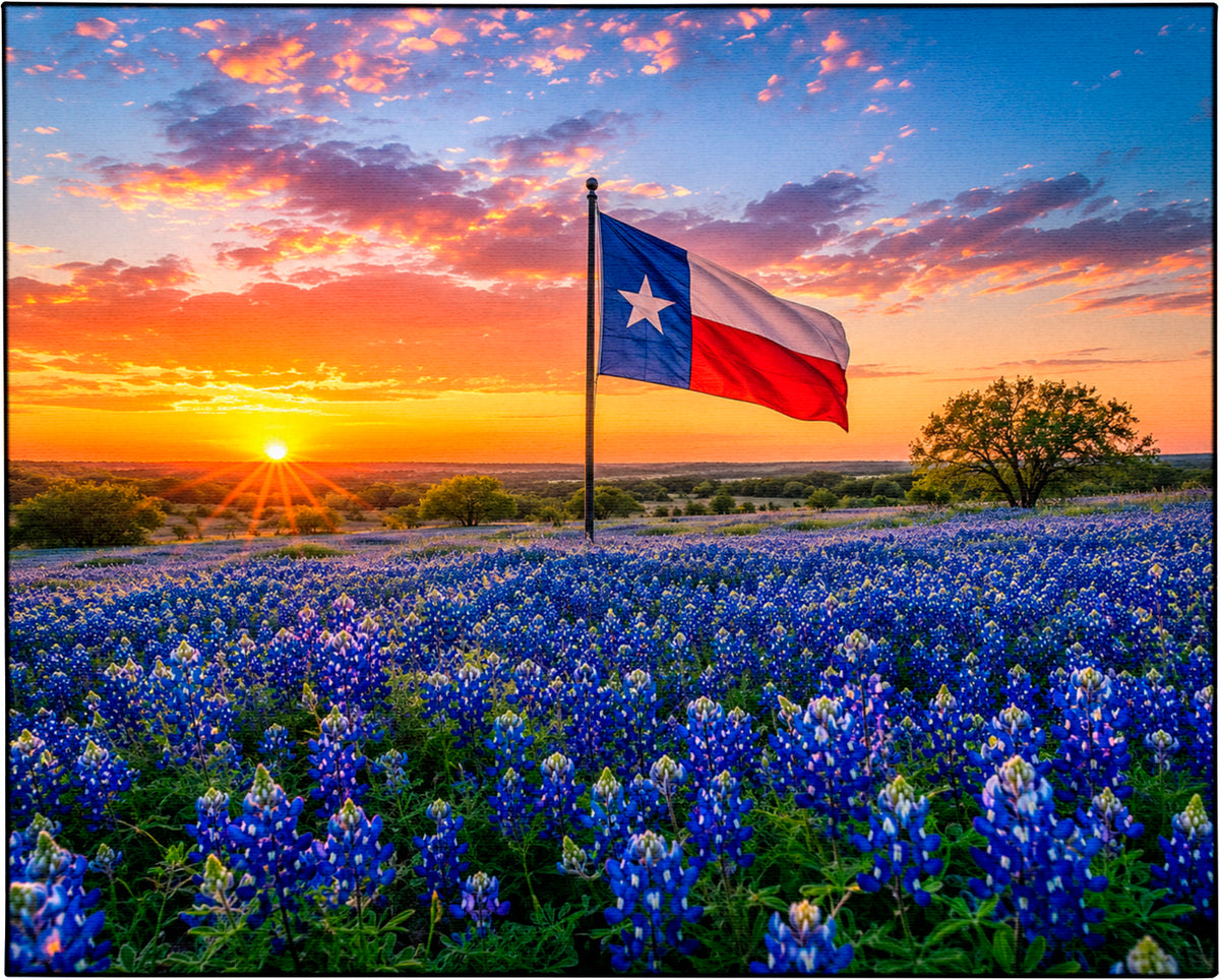 Texas Bluebonnet Sunrise Canvas Print