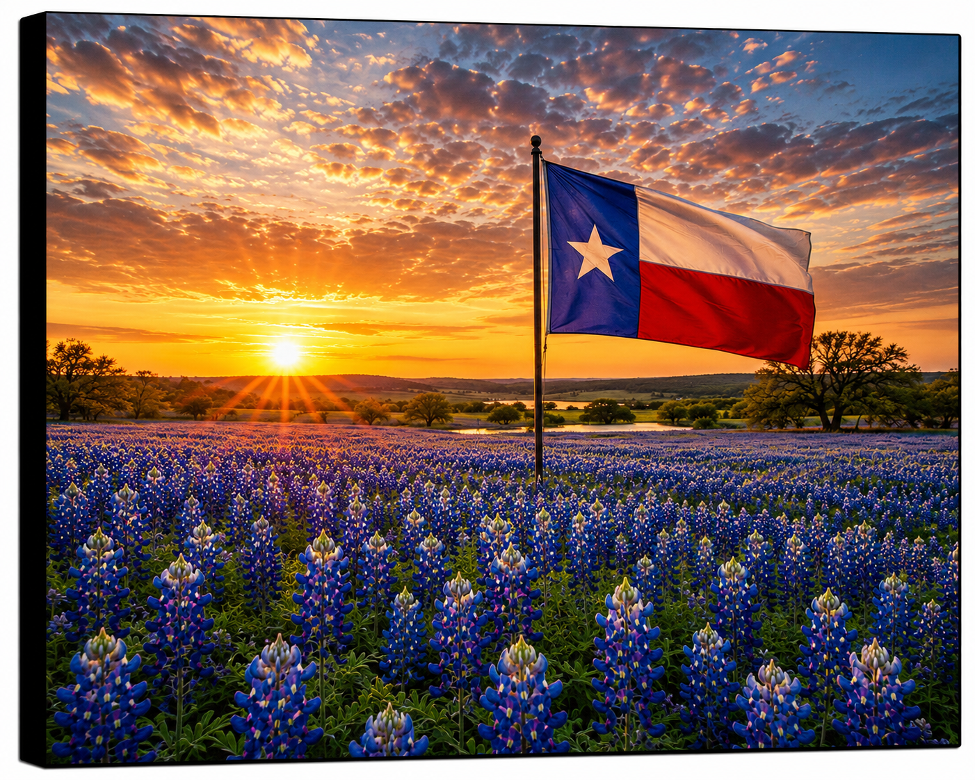 Texas Bluebonnet Field Sunrise Canvas Print